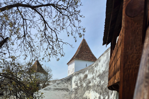 Brașov UNESCO Half-Day: Teutonic Fortresses Private Tour