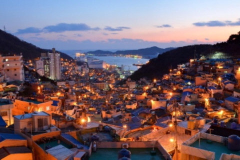 Busan: Customized Private Car Tour City Sights&Local Gems Pick-up anywhere in Busan