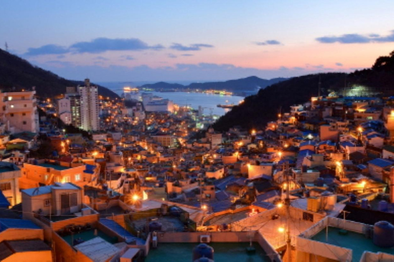 Busan: Customized Private Car Tour City Sights&Local Gems Pick-up anywhere in Busan