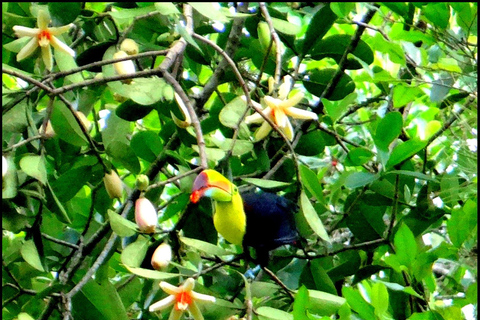 Chiapas: Tour particular de natureza e aventura 5 dias - 4 noitesChiapas: Aventura de 5 dias na fauna e nas cachoeiras