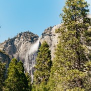 San Francisco : parc national de Yosemite et randonnée dans les séquoias géants