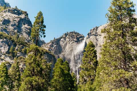 San Francisco: Yosemite National Park & Giant Sequoias Hike
