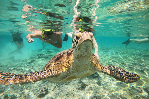 Gili island Snorkelling by private glass bottom boat