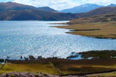 From Cusco: 4 Lagoons and Queshuachaca Bridge Tour