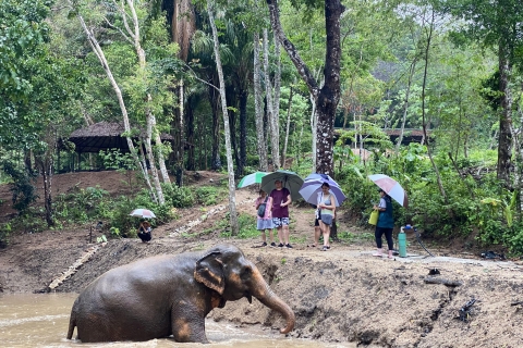 Réserve naturelle des éléphants de Phuket - Sanctuaire éthique pour les éléphantsPetite aventure de 90 minutes à dos d'éléphant