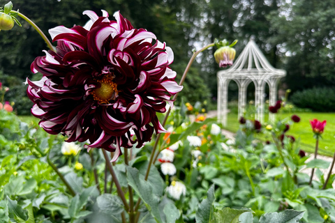 Région des bulbes : Tour cycliste des dahlias