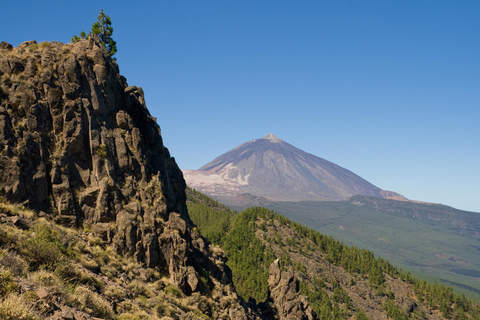 From Costa Adeje or Santa Cruz: Contrasts of Tenerife Tour From Costa Adeje - Spanish tour