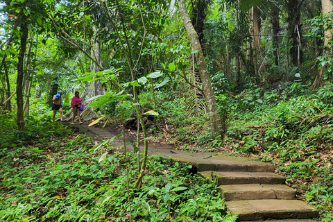 Hidden Valley Springs | Lunch | Taal Volcano Viewing (2in1)