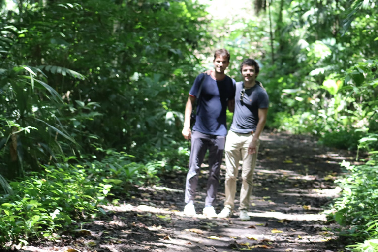 Ciudad de Panamá: tour de senderismo por el Parque Nacional Soberanía