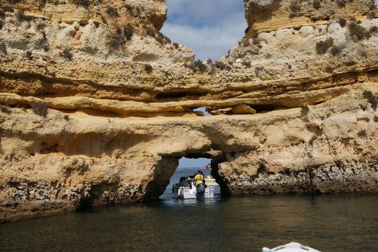 Ponta da Piedade:Express grotto tours