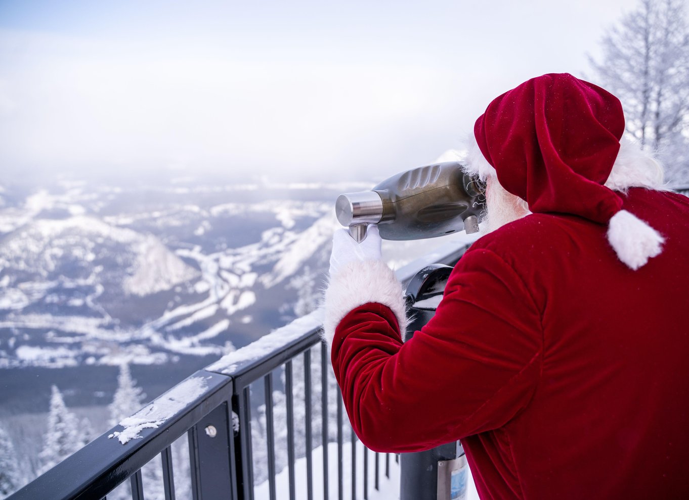 Banff: Adgangsbillet til Banff Gondola