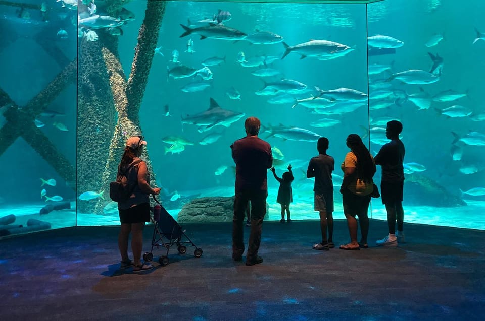 New Orleans: Audubon Aquarium Ticket & Optional Combinations | GetYourGuide