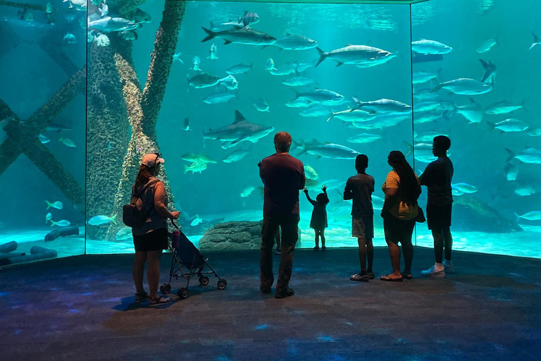 Nouvelle-Orléans : Billet pour l'Aquarium et l'Insectarium Audubon