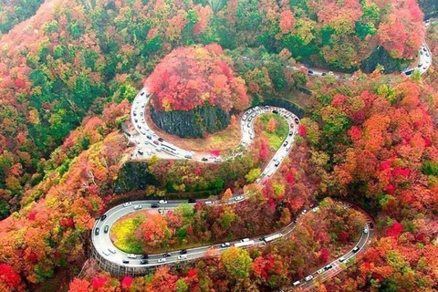 Nikko: Kegon Falls, Chuzenji, Shinkyo Bridge, Toshogu Temple In Luxury Velfire Nikko Private Customized Tour