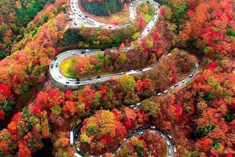 Nikko: Kegon Falls, Chuzenji, Shinkyo Bridge, Toshogu Temple In Luxury Velfire Nikko Private Customized Tour