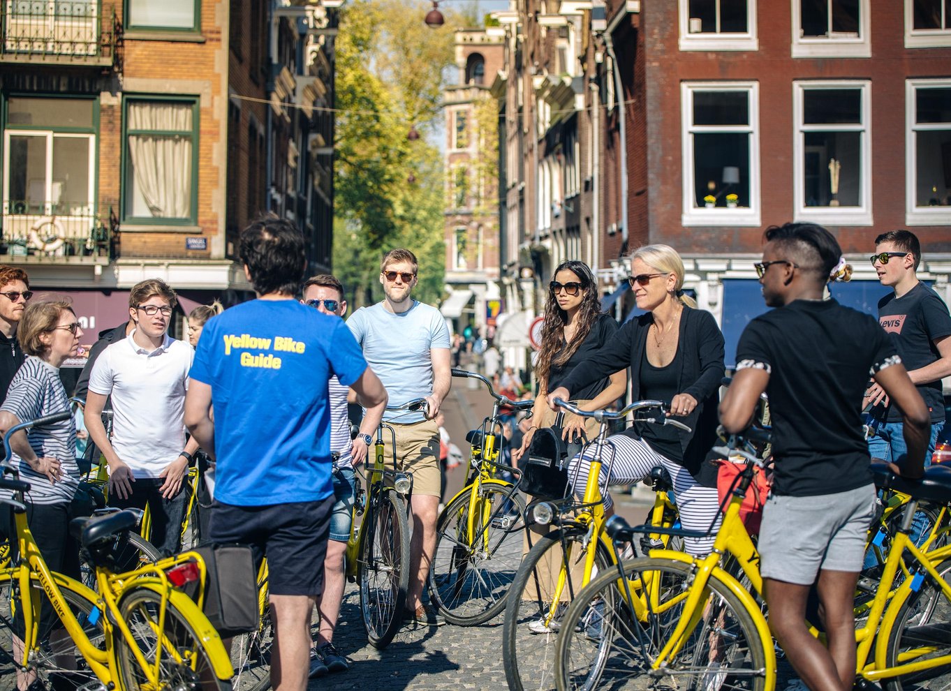 Amsterdam: 2-timers guidet byrundvisning af byens højdepunkter
