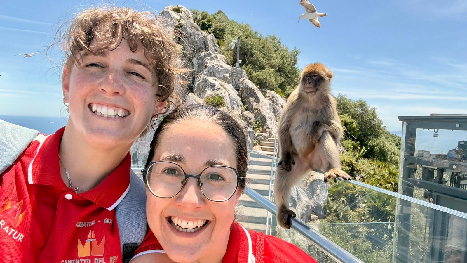 Ab Málaga: Gibraltar + Mijas mit umfassender Unterstützung