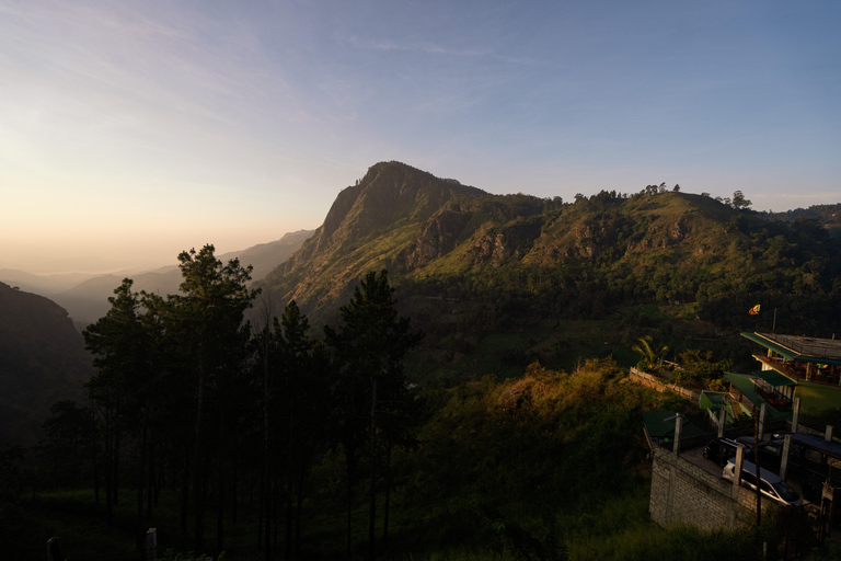 Ella: De Pekoe Trail Etappe 16 - Ella naar DemodaraHet Pekoe pad etappe 16