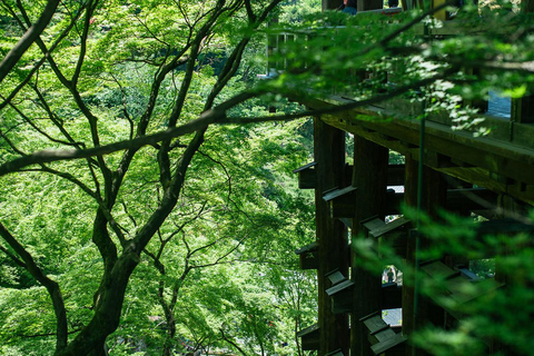 Kyoto, Gion & Nara: Culture & Heritage Full-Day Tour Trip from Osaka 8:40AM