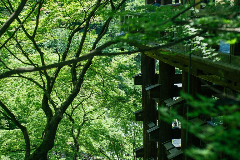 Kyoto, Gion & Nara: Culture & Heritage Full-Day Tour Trip from Osaka 8:40AM