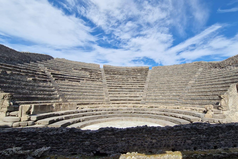 Desde Nápoles: Excursión de un día a Pompeya y el Vesubio con almuerzo