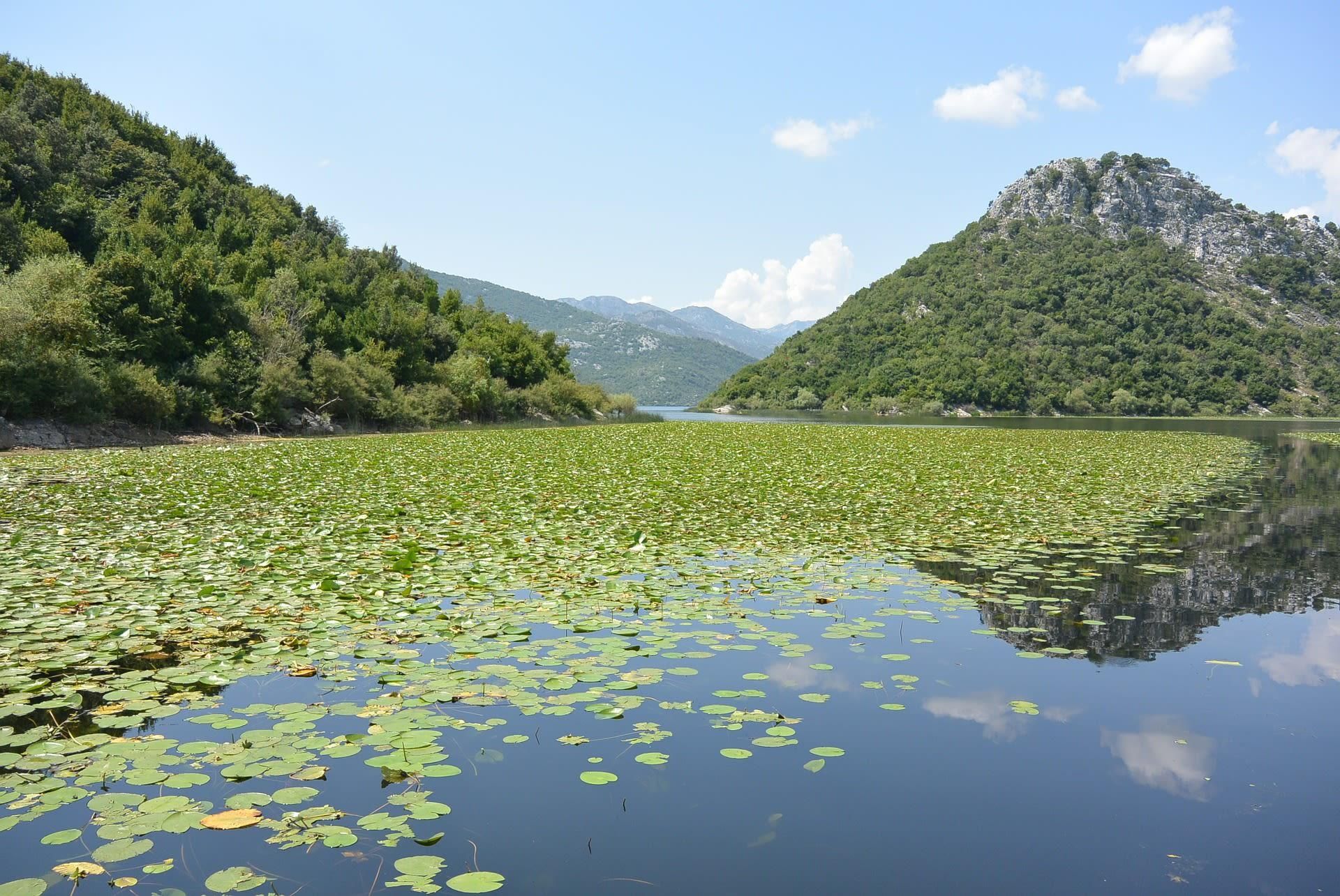 Tagestour zum Skadar See von Tivat aus