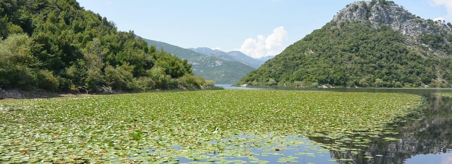 Excursion d'une journée au lac Skadar depuis Herceg Novi