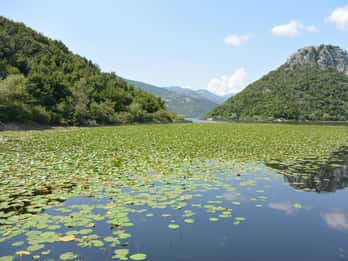 Skadar Lake day trip from Herceg Novi