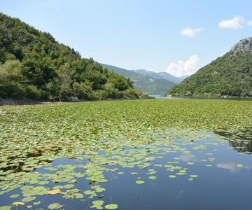 One day trip to Skadar Lake from Tivat