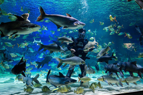 Angkor Wildlife & Aquarium Private Round-Trip Transfer Private Round-Trip Transfer by Tuk Tuk