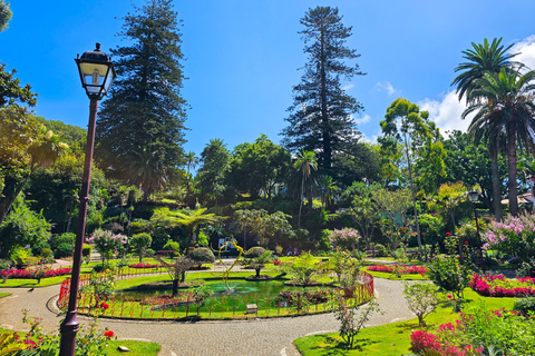 Tour di mezza giornata: Tour della città di Angra do Heroísmo