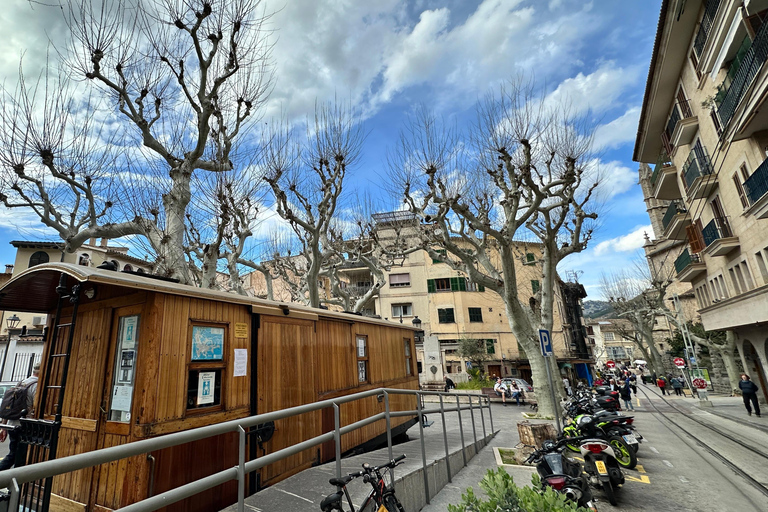 PRIVÉ Port de Sóller, Sóller en Sa Foradada Sunset Tour