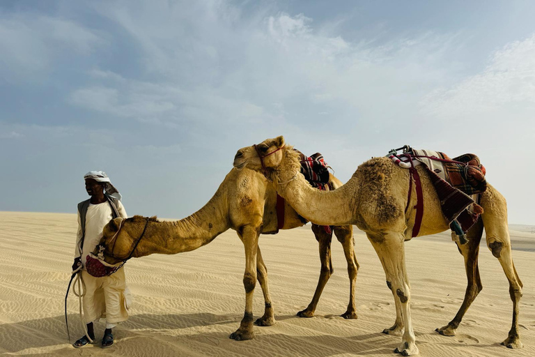 Doha: Safari privato della città e del deserto con giro in cammello