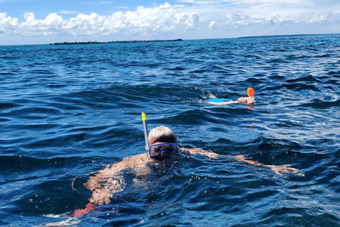 Zanzibar: Private Snorkeling Tour At Mnemba Island