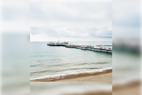 Brighton: Zip Wire Experience Ticket and Transfer