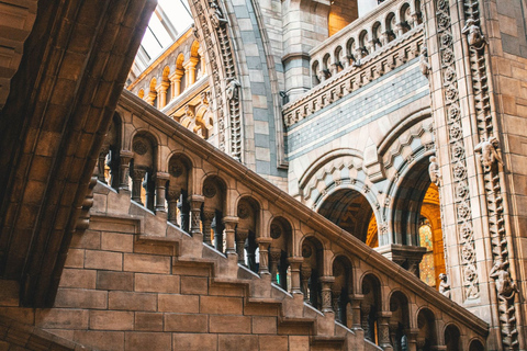 Londres: Museo de Historia Natural Franja horaria de entrada y audioguíaTicket de entrada con guía portuguesa en la aplicación