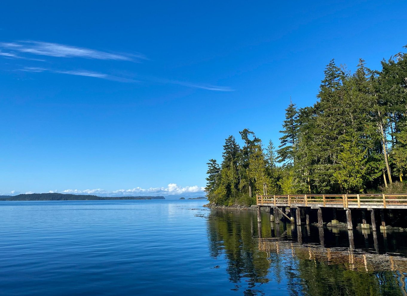 Telegraph Cove: 2-timers kajaktur om dagen eller aftenen