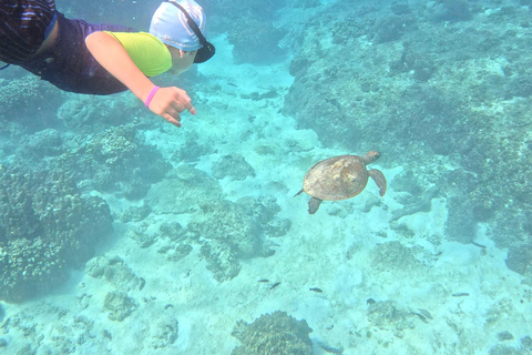 Muscat: Snorkeltur till ön Dimaniyat