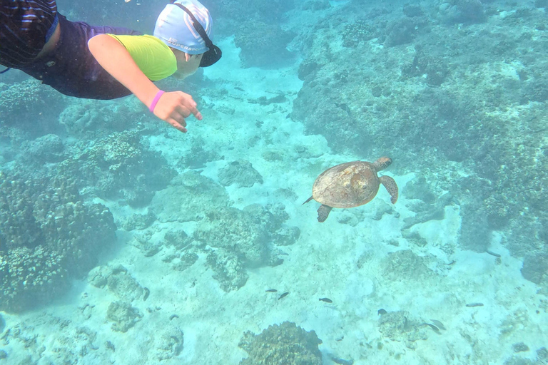 Mascate : excursion de plongée en apnée sur l&#039;île de Dimaniyat