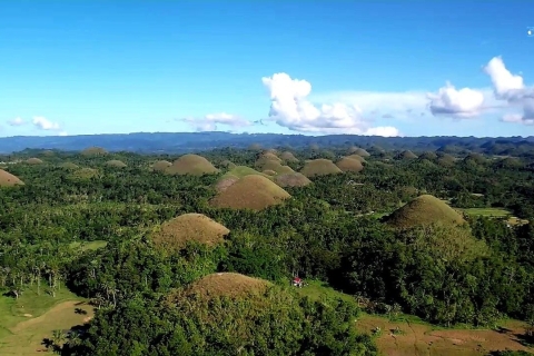From Cebu: Bohol Countryside Exclusive Tour