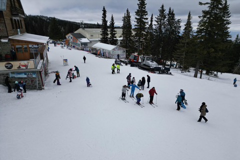 Sofia Mt Vitosha: Lär dig åka skidor på en dagVitosha: Lär dig att åka skidor på en dag