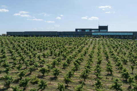 Cáceres: Bodegas Habla