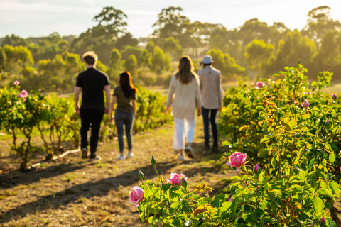 Adelaida Hills: Visita a la granja Jurlique