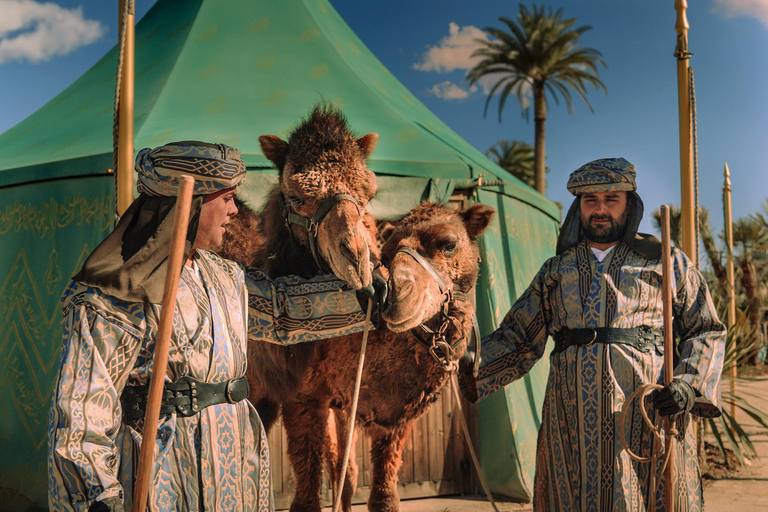 From Madrid: Puy du Fou Spain Entry Ticket & Transfer