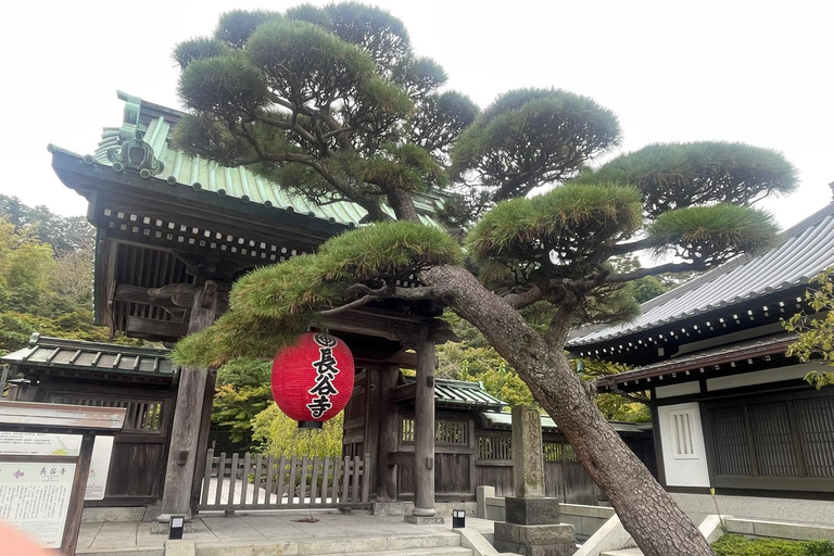 1-Day Tour Kamakura-Yokohama From Tokyo with English Guide