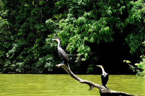 Duluti-See: Kanufahren, Naturwanderung und ExtraKajakfahren, Spaziergang in der Natur und Töpferkurs