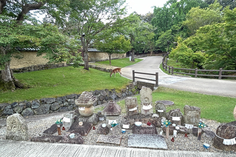 (T11)Tour privado con guía japonés en NaraTour privado con guía japonés en Nara