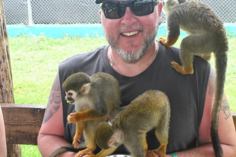 Puerto Plata: Exclusive Monkey Tour for Cruise Passengers