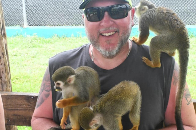 Puerto Plata: Exclusive Monkey Tour for Cruise Passengers