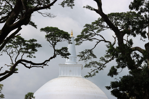Ella to Anywhere: Private Scenic Journey & Flexible Stops Private Car with Driver – Up to 125 km (Island-wide)